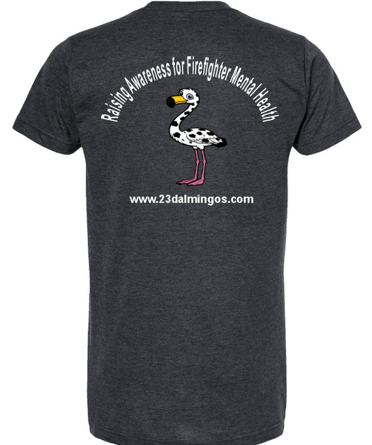Adult Heather Graphite Tee