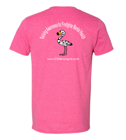 Adult Pink Tee